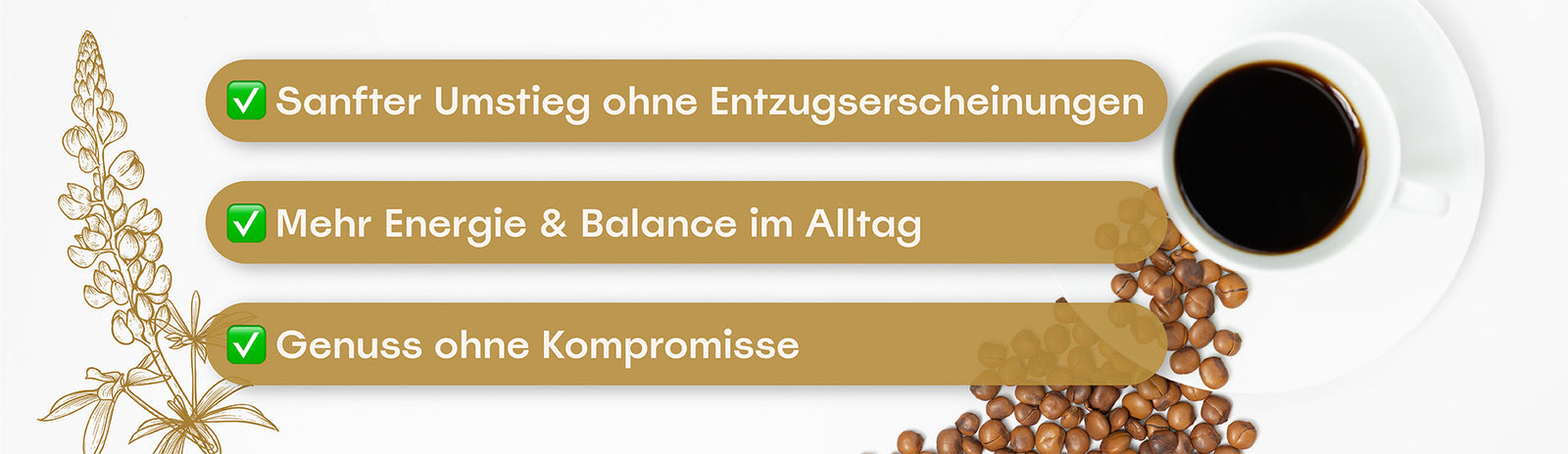 Vorteile unserer Koffein Detox Challenge